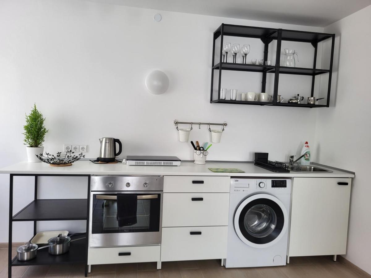 Joreda Apartamentai Biržai エクステリア 写真