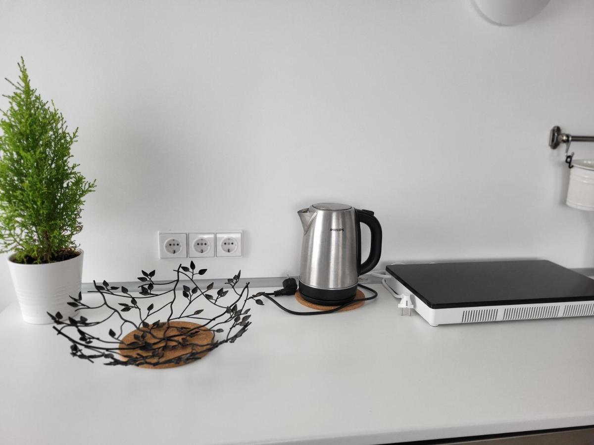 Joreda Apartamentai Biržai エクステリア 写真