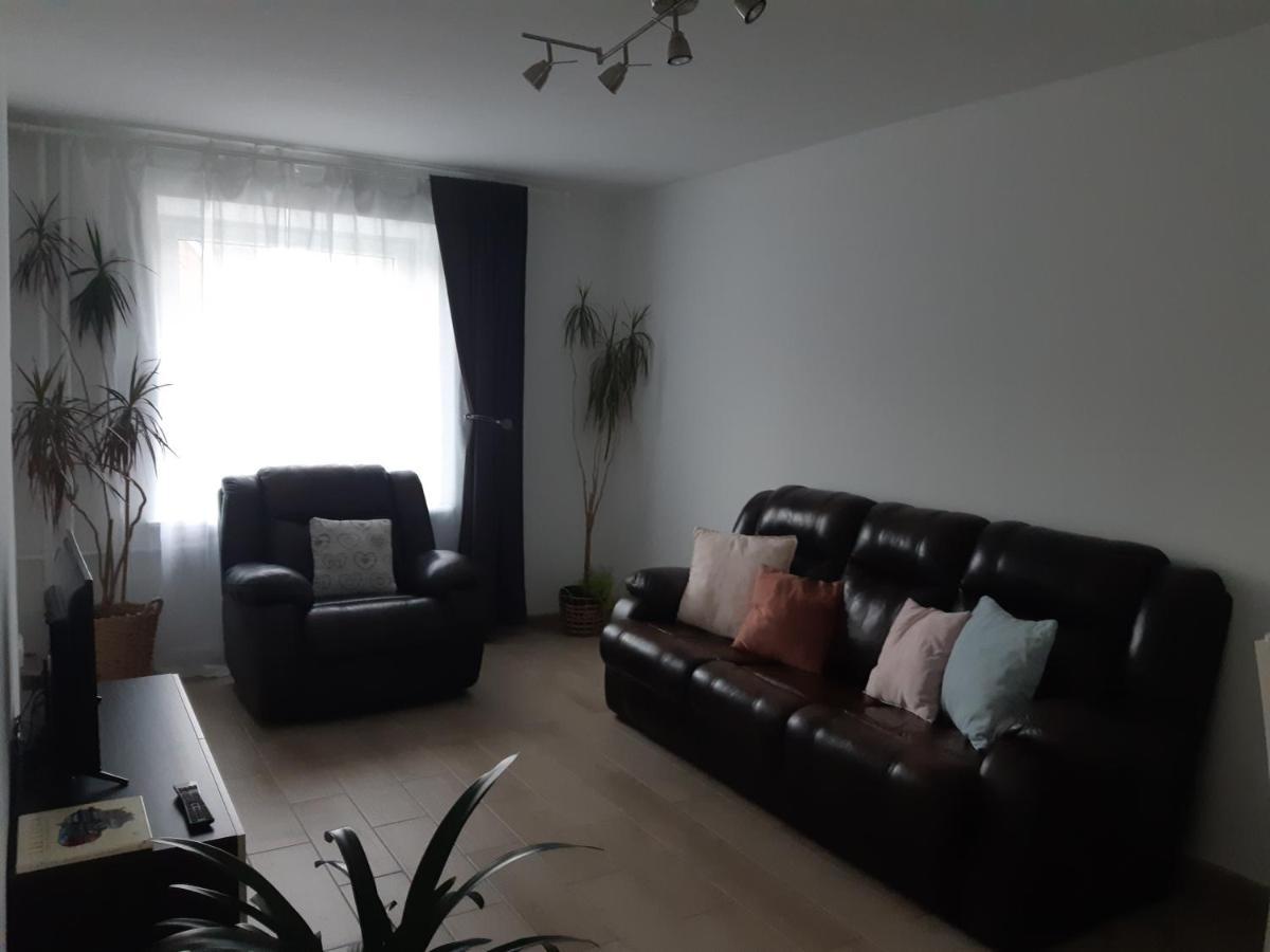 Joreda Apartamentai Biržai エクステリア 写真