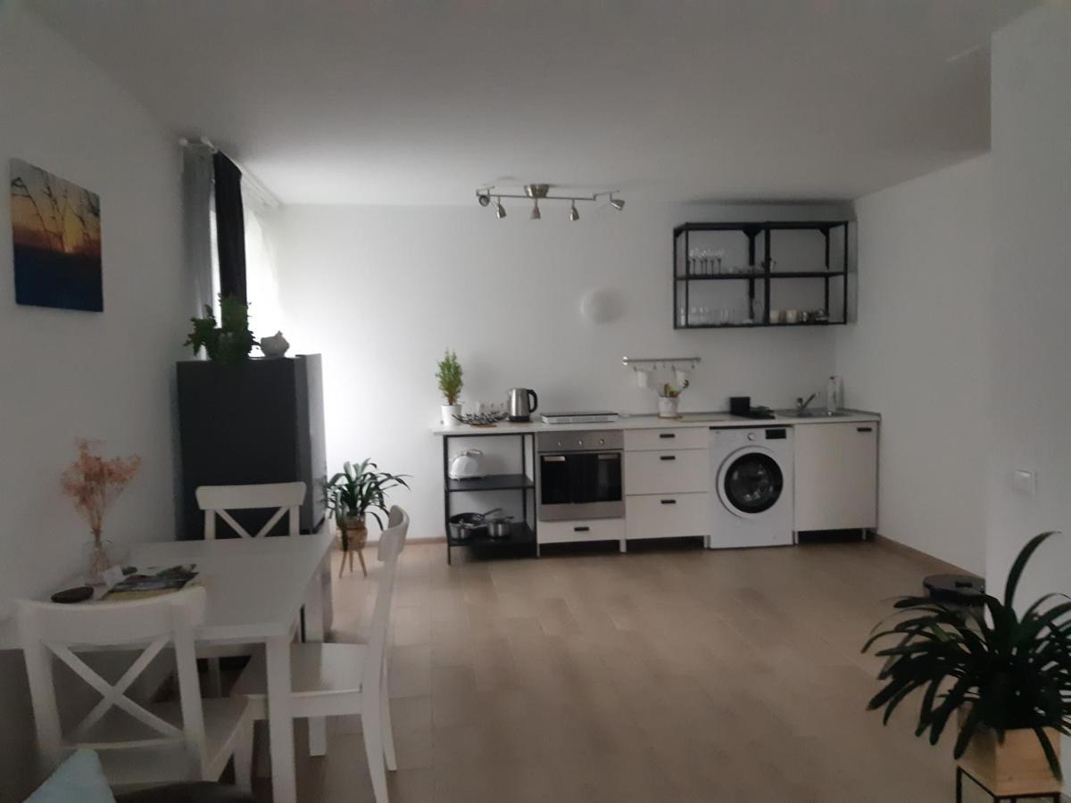 Joreda Apartamentai Biržai エクステリア 写真